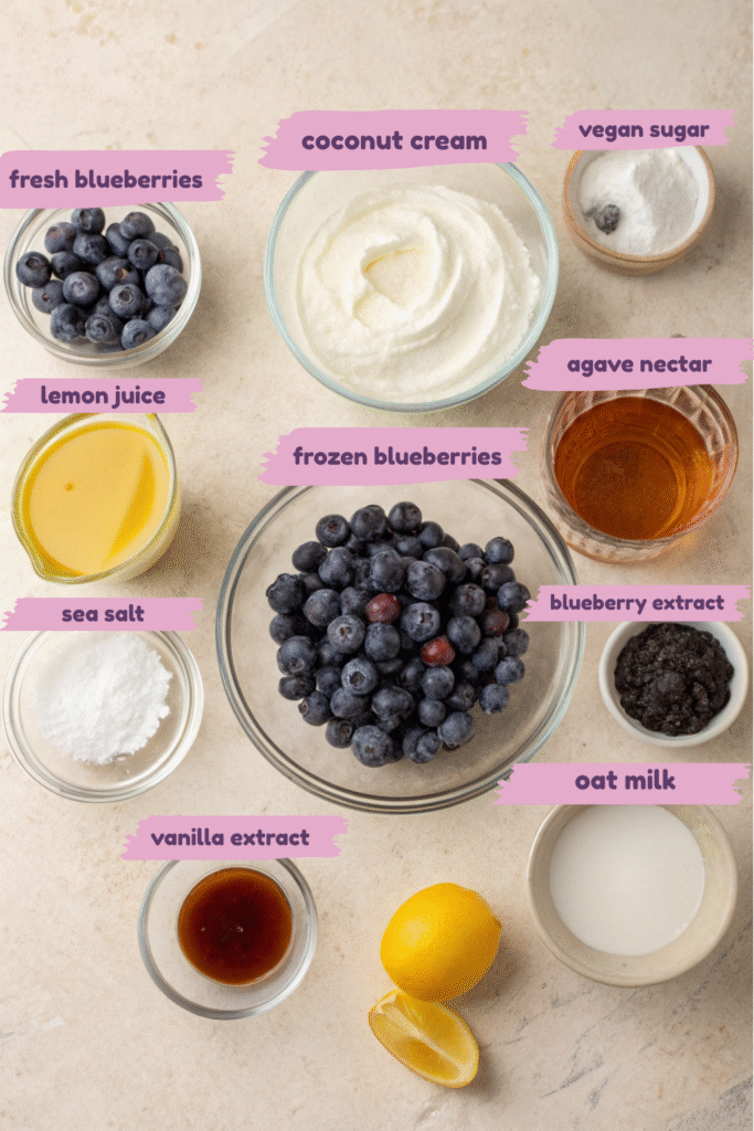 Ingredients for blueberry vegan ice cream including fresh and frozen blueberries, coconut cream, oat milk, lemon juice, and sweeteners.