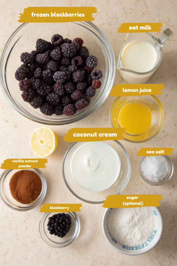 Frozen blackberries, coconut cream, oat milk, and other ice cream ingredients.