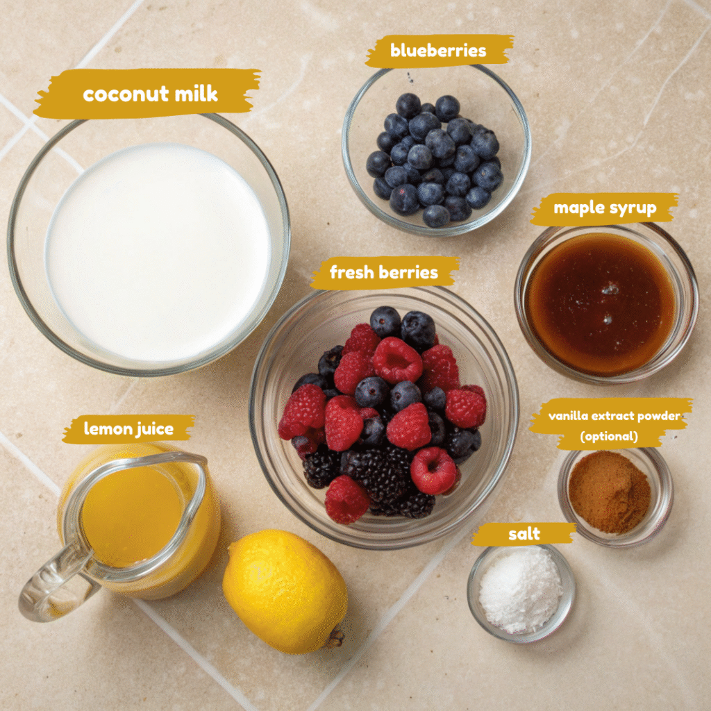 Flat lay of vegan berry ice cream ingredients including coconut milk, fresh berries, blueberries, maple syrup, lemon juice, and vanilla extract powder.