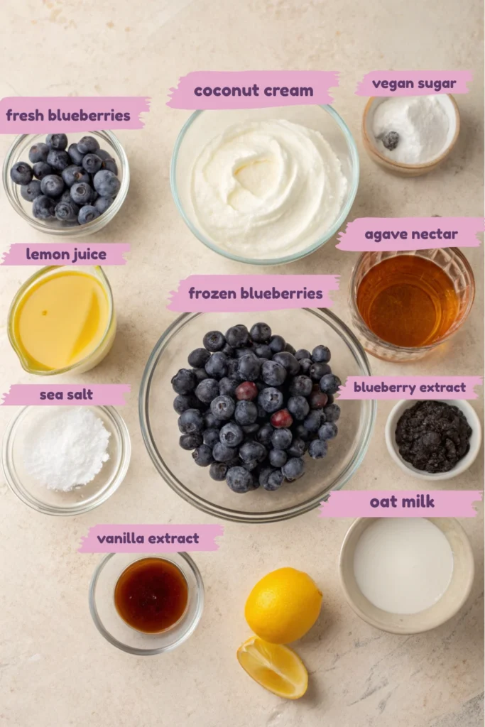 Blueberry vegan ice cream 11 Ingredients for blueberry vegan ice cream laid out in labeled bowls